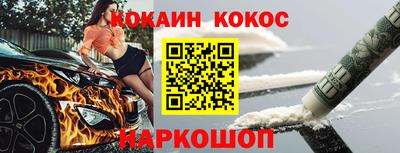 крисы Кунгур